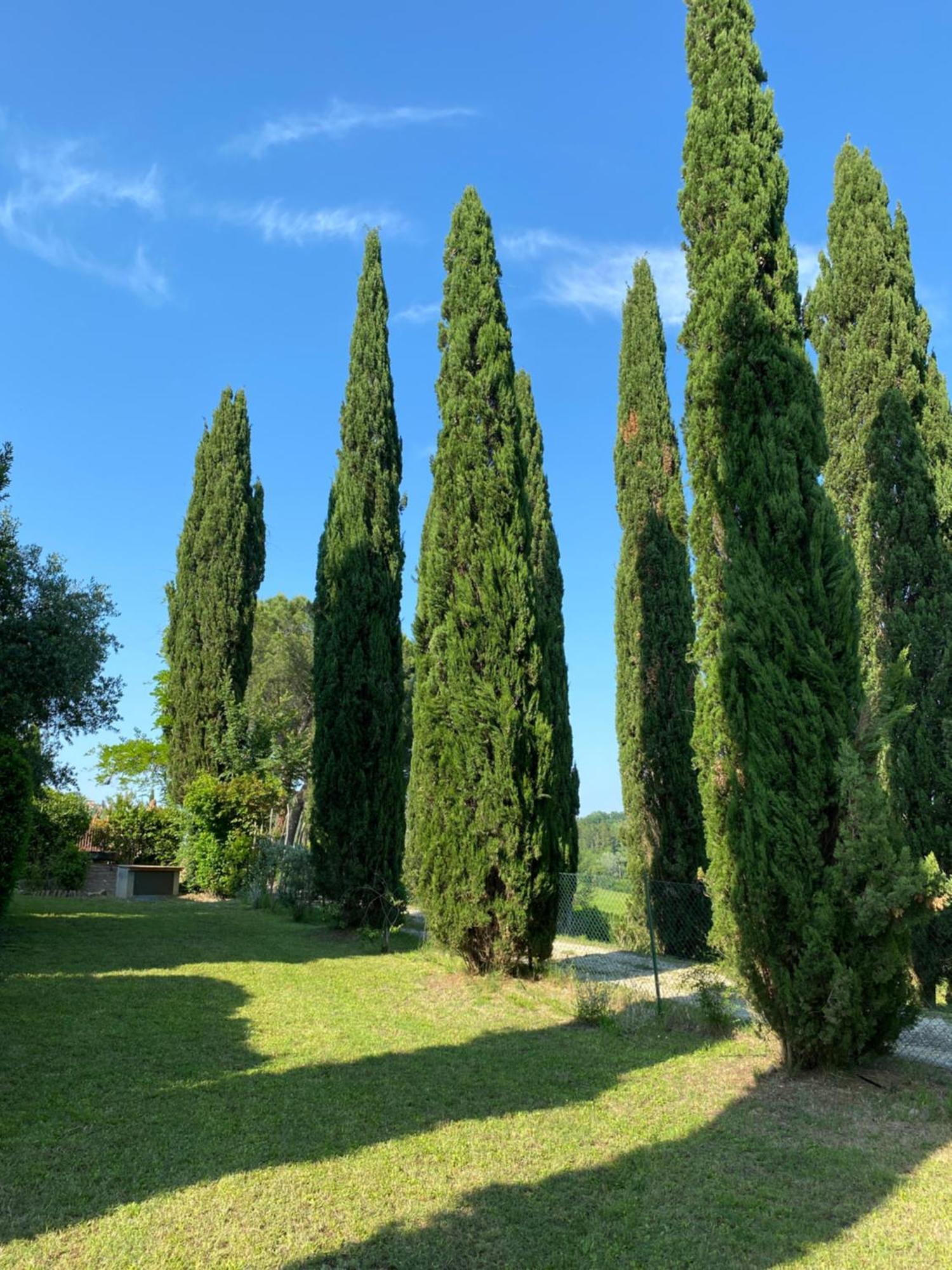 Villa Tre Colli - In The Heart Of Tuscany Certaldo Exterior photo