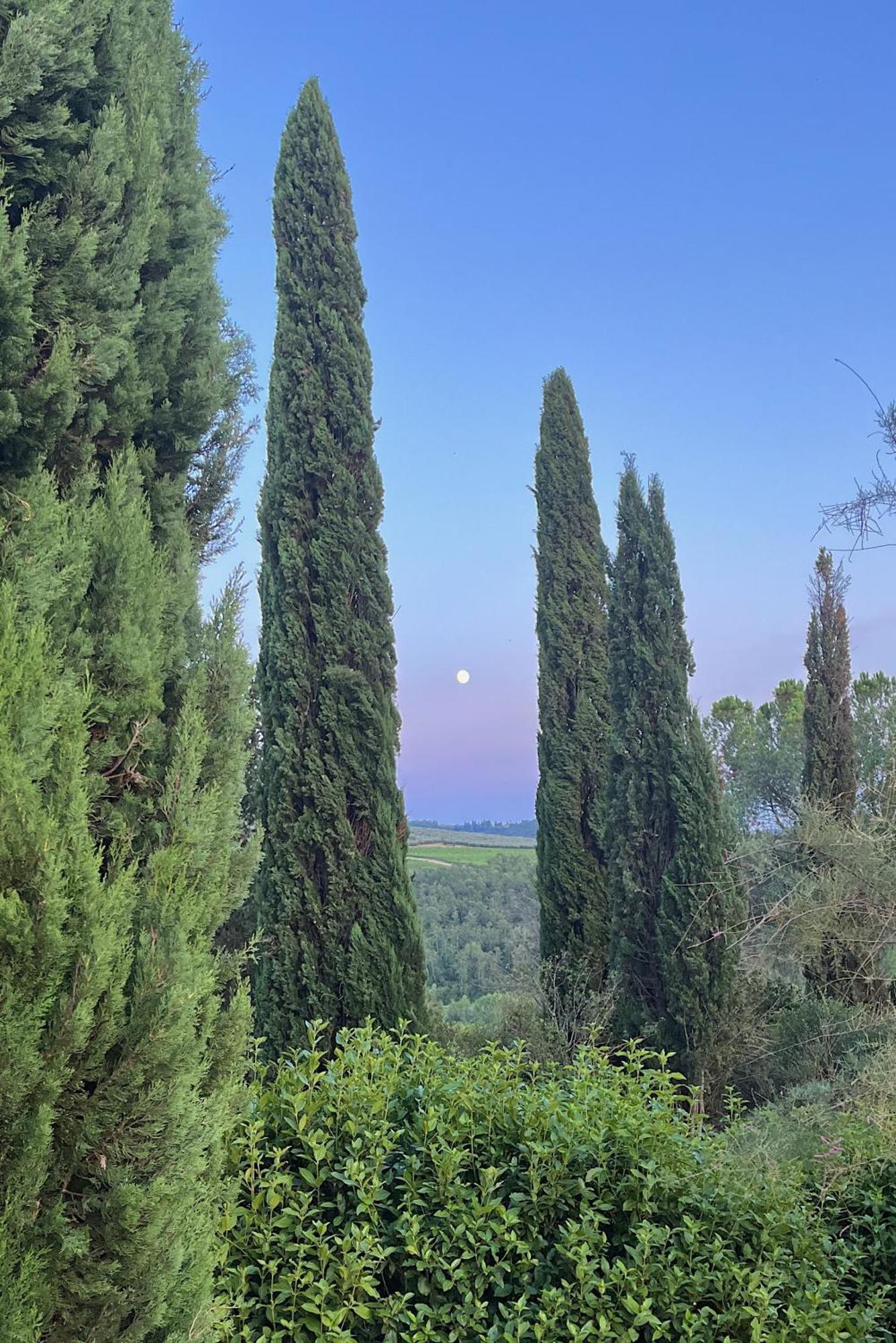 Villa Tre Colli - In The Heart Of Tuscany Certaldo Exterior photo